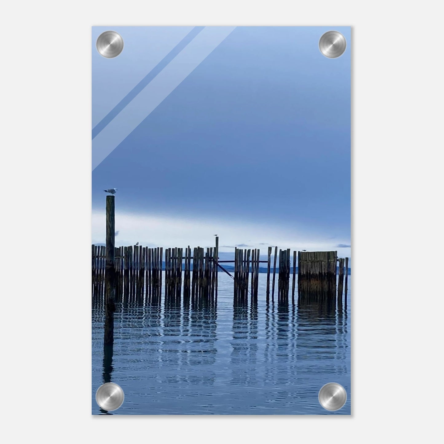 1e08394e-d4d0-47c6-b473-a458201eadbc