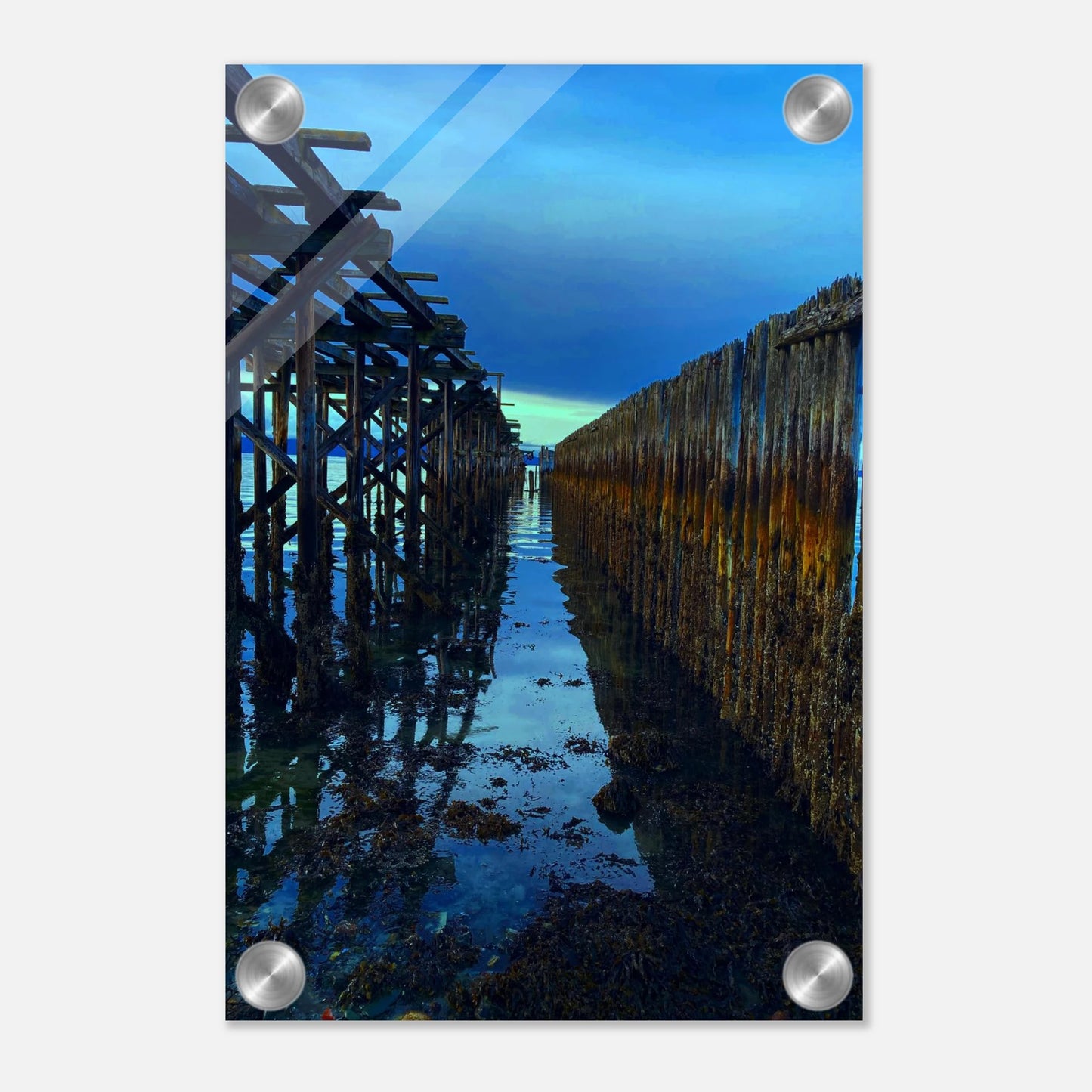 4122f779-4283-4e71-8f96-80ff86b76f7d