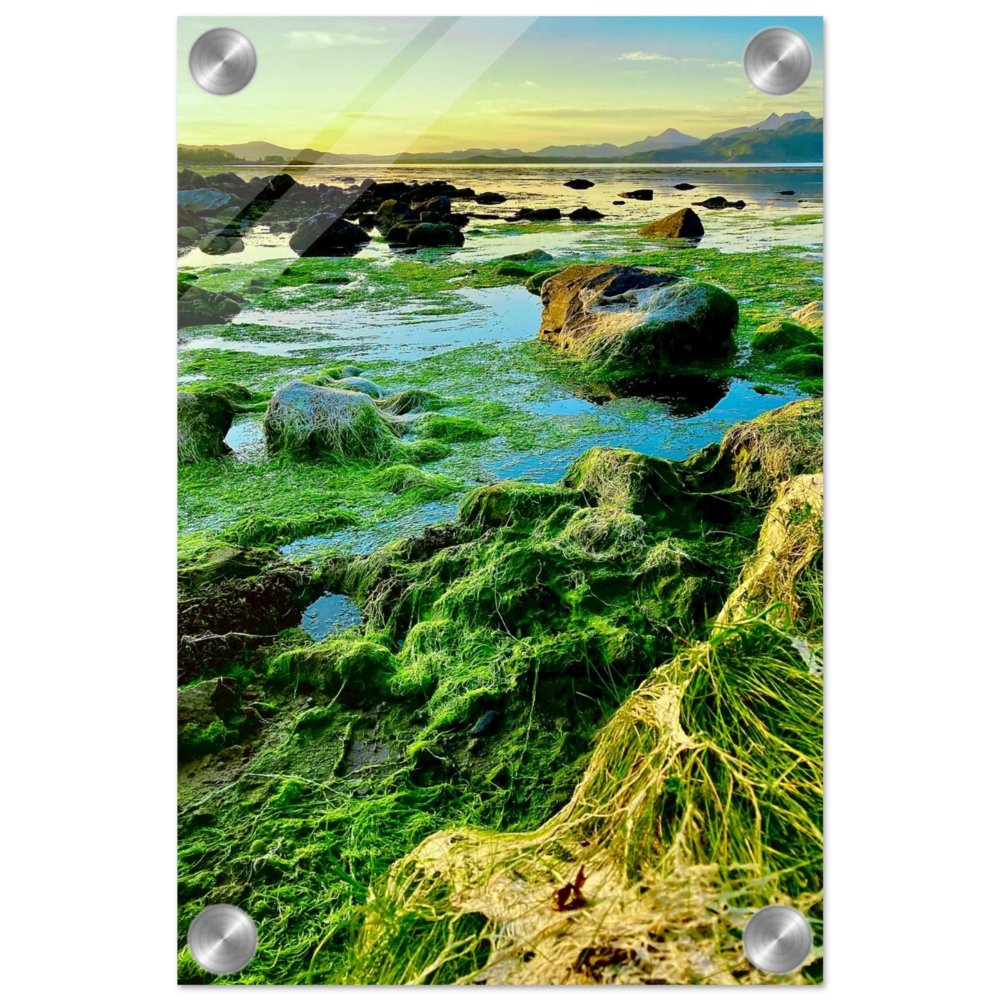 daf0f6c6-3dec-4769-8d71-73805b2df7d9