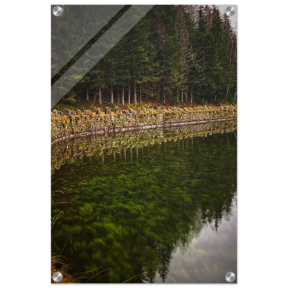 1f02bb3a-66ec-4a28-9e26-59923f55c2cd