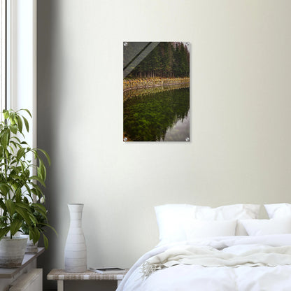 3854634e-342c-4401-aa05-424b4dc5e806