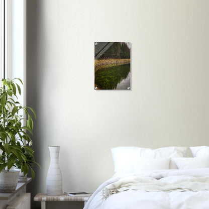 66435e56-cca5-484c-973d-c73a37fa266c