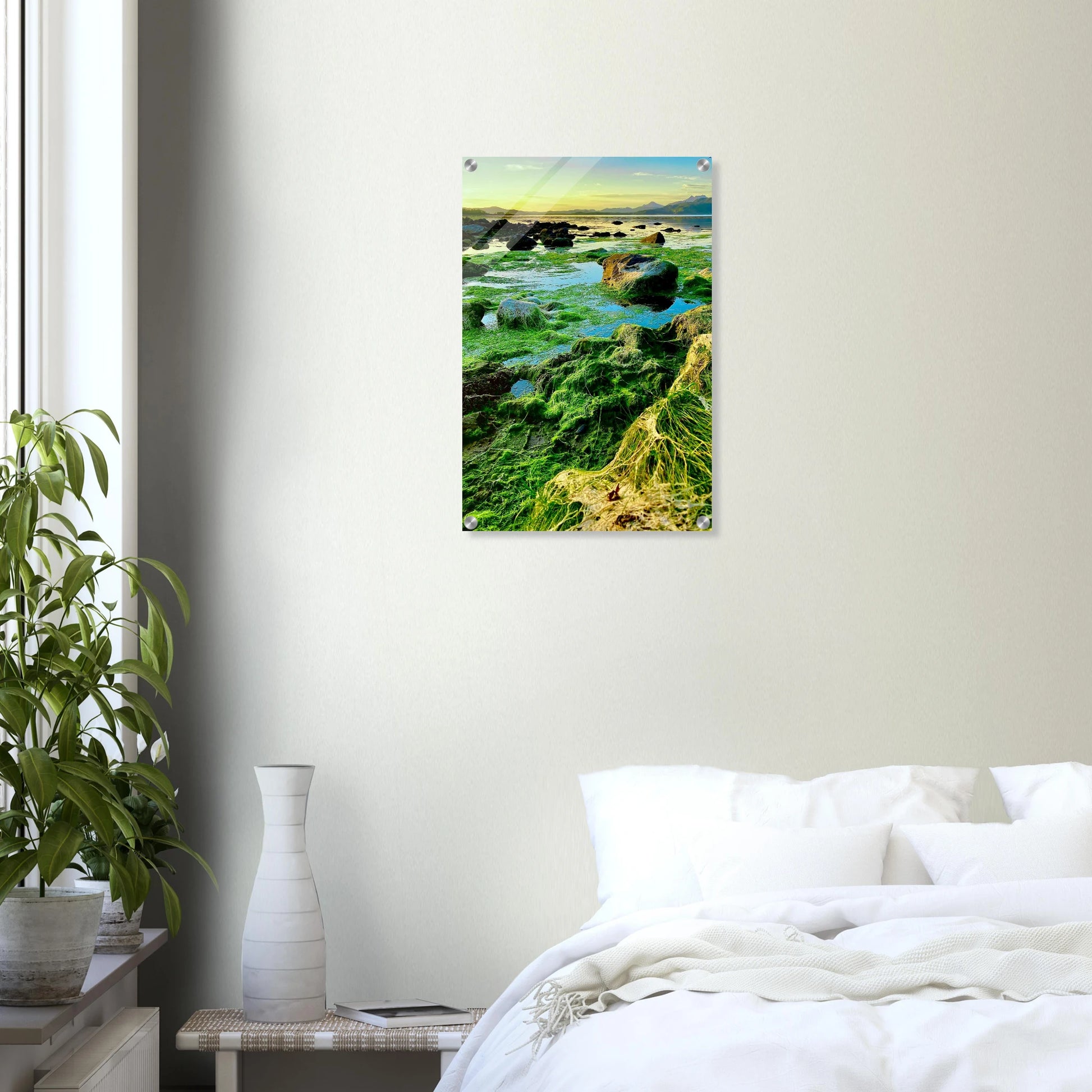 7b6e2bde-0069-42a1-9216-ffea92f304c3