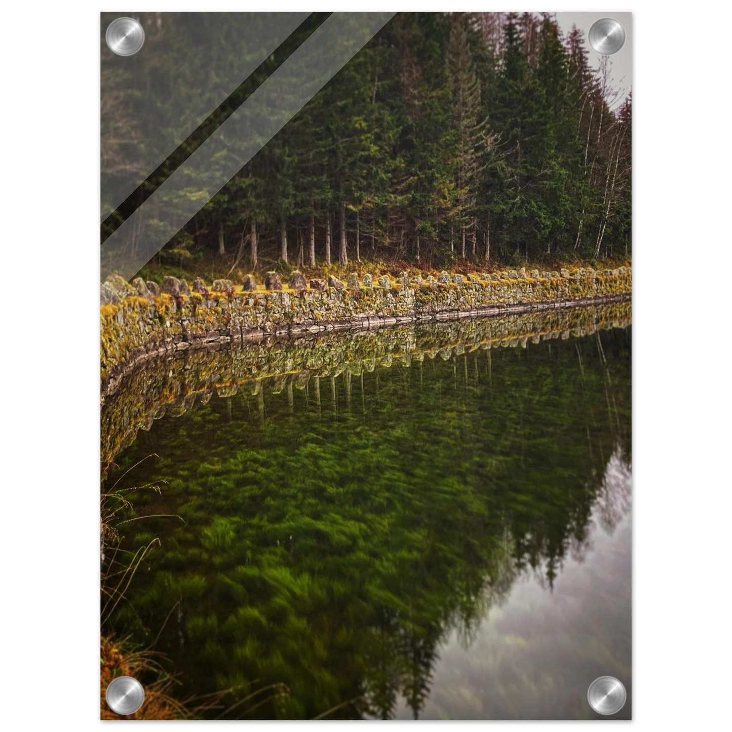 952d9386-f74c-4925-abd4-e6c9599fdc81