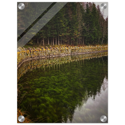 952d9386-f74c-4925-abd4-e6c9599fdc81