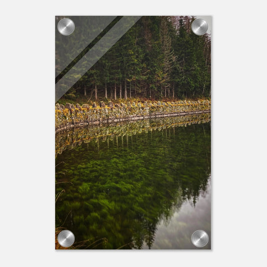 a6afb4cb-cdcd-4246-87fa-dc074b99546a