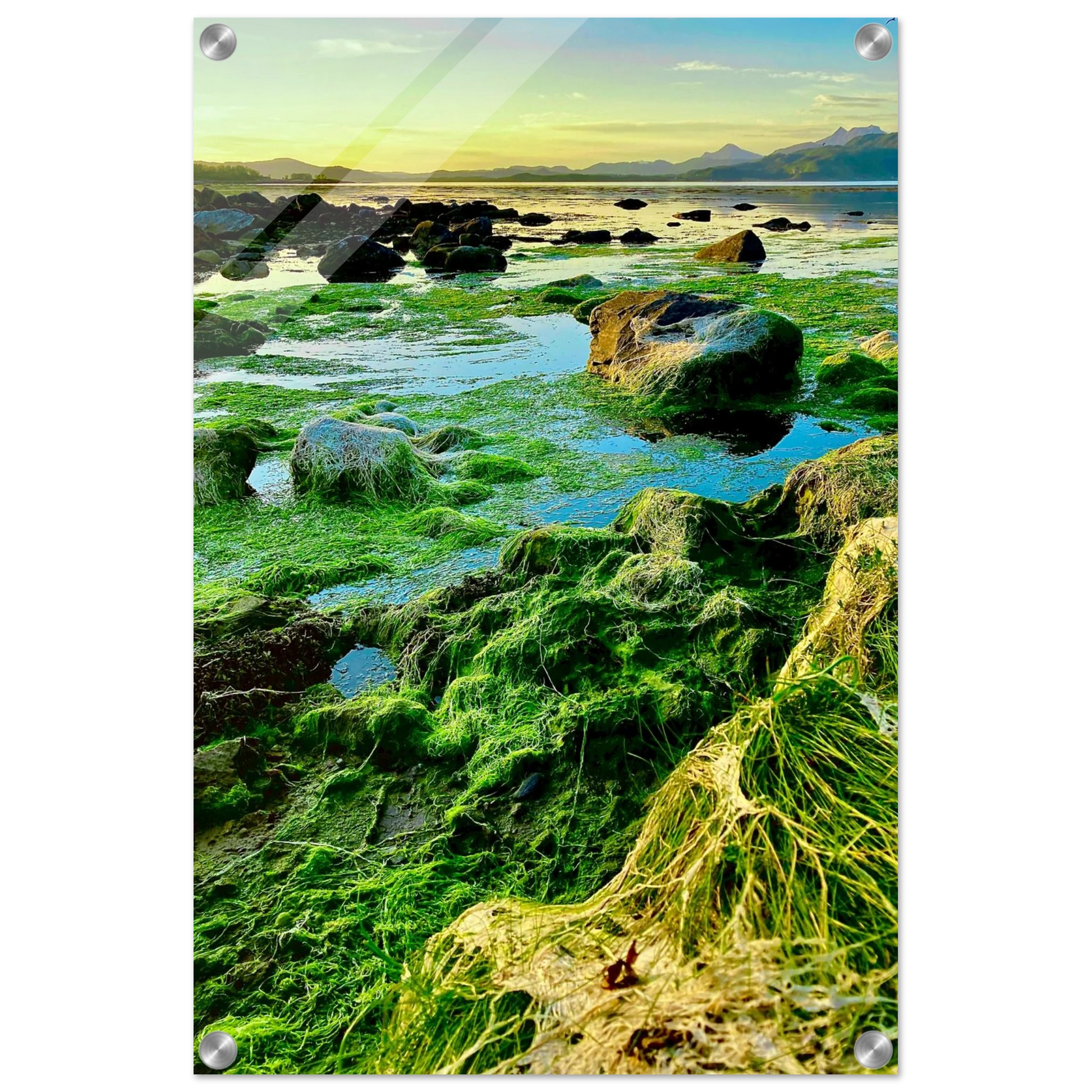 ae25e955-647e-4d09-bd0c-68a09fdc4a60