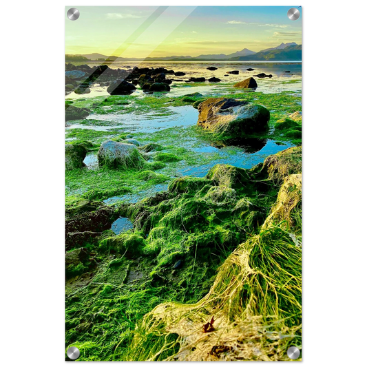 ae25e955-647e-4d09-bd0c-68a09fdc4a60