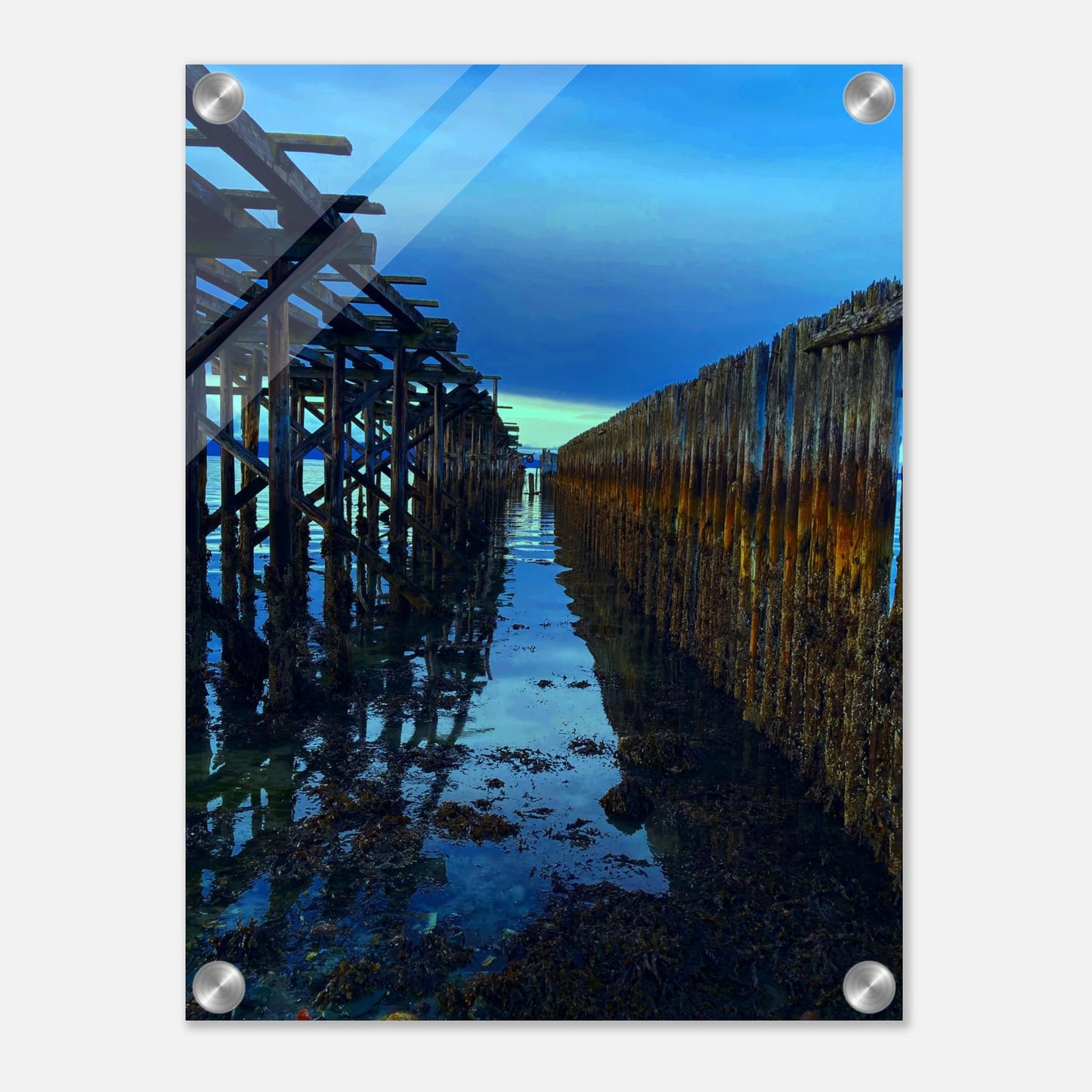 bc74b557-0ff6-4cee-afc4-6dac8a1f98c5