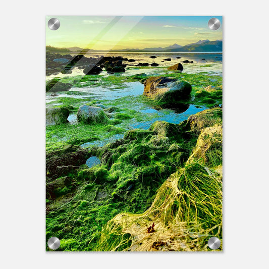 d6e4567a-2f95-40bd-a8e5-05b5ec5719a2