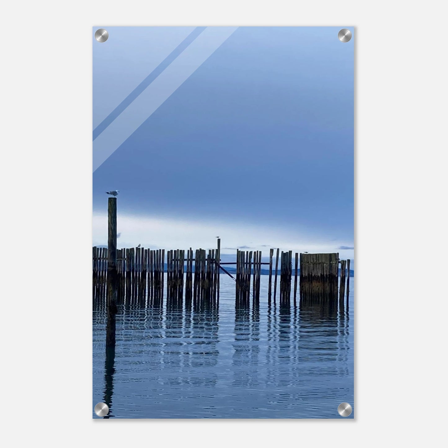 d7ef7684-47ff-410e-b53e-6e39955b647e