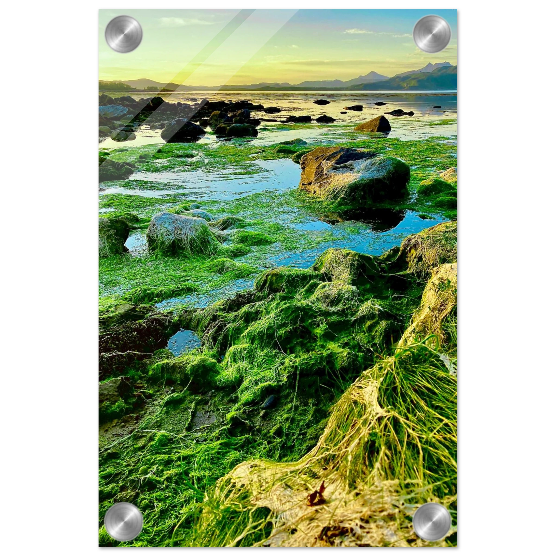 daf0f6c6-3dec-4769-8d71-73805b2df7d9