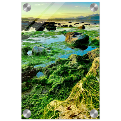 daf0f6c6-3dec-4769-8d71-73805b2df7d9