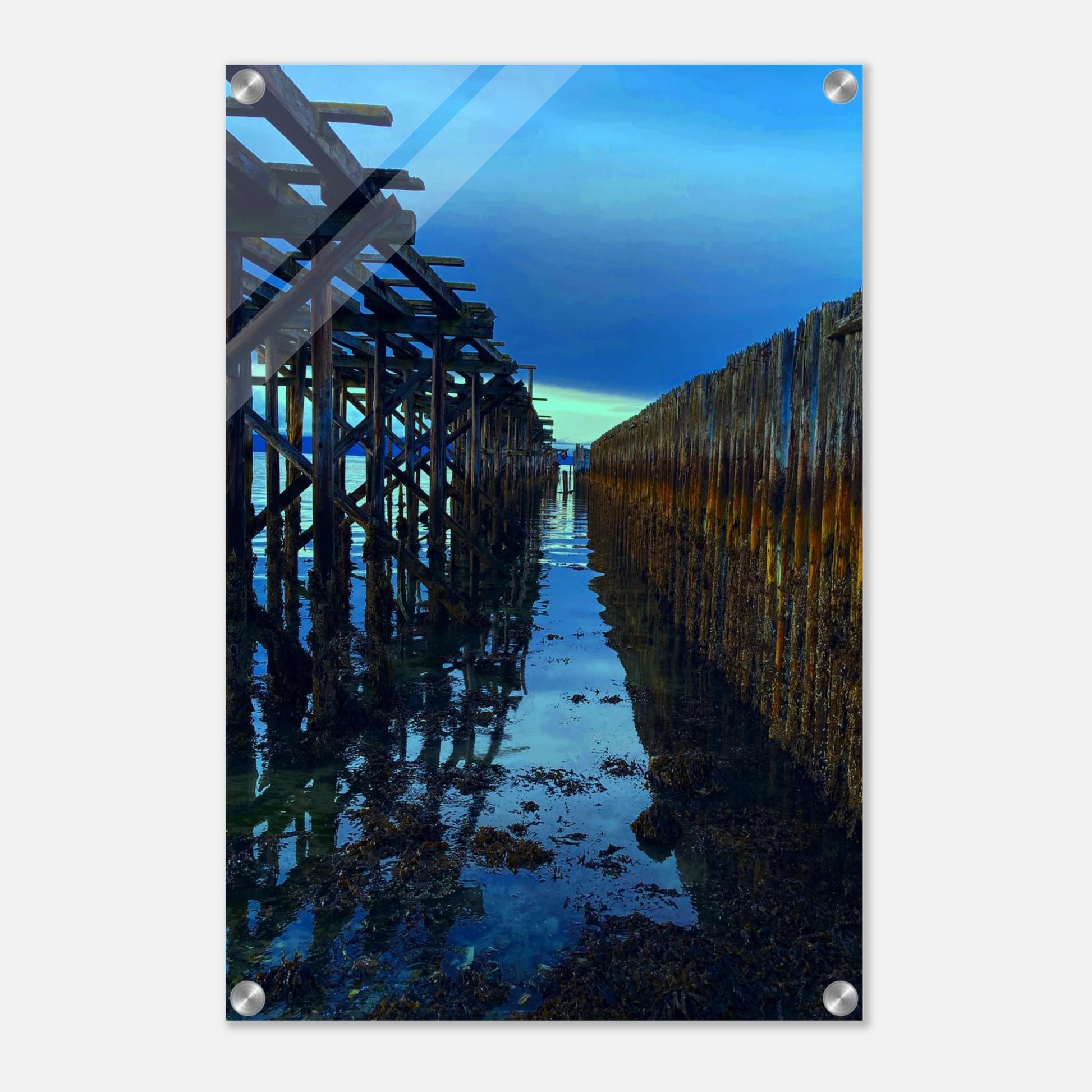 ef01b4dc-250c-4422-aa1b-903429777996